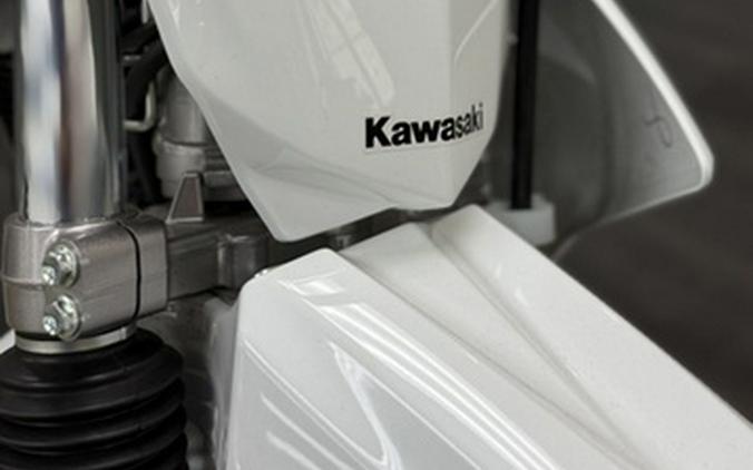 2026 Kawasaki KLX 230R S