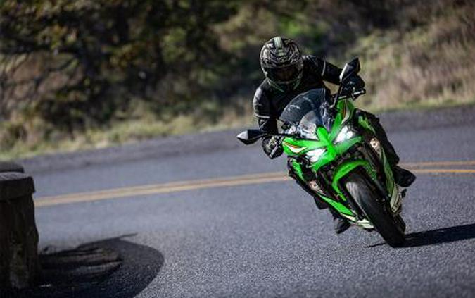 2025 Kawasaki Ninja® 500 KRT Edition