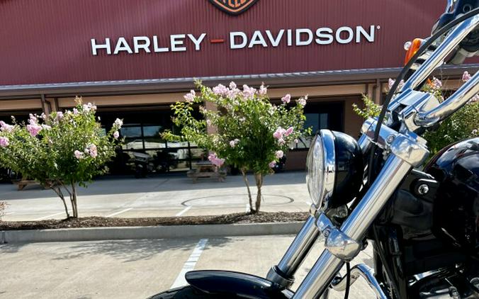 2021 Harley-Davidson Softail Standard Vivid Black