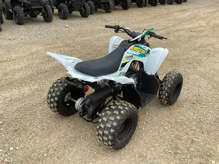 2023 Yamaha Raptor 90