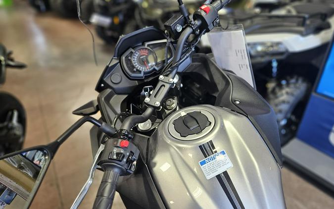 2026 Kawasaki Versys®-X 300 ABS
