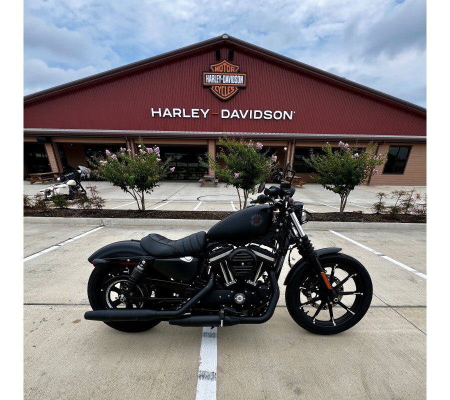 2022 Harley-Davidson Iron 883 Black Denim