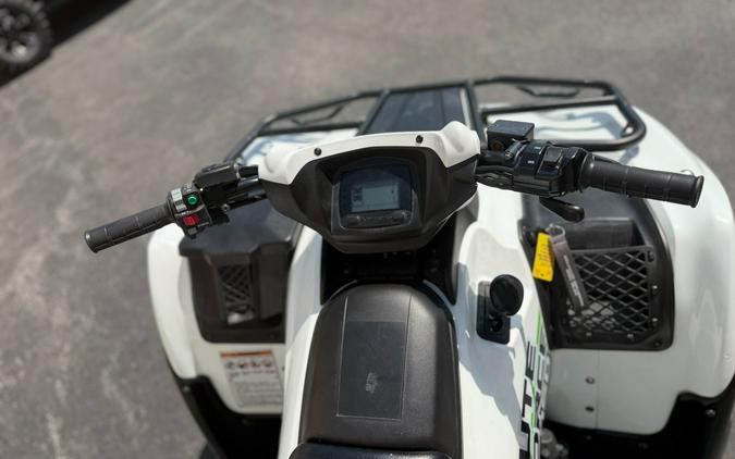 2019 Kawasaki Brute Force 750 4x4i EPS