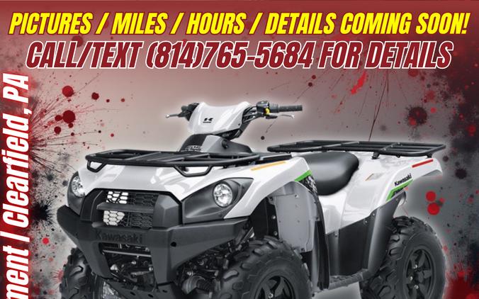 2019 Kawasaki Brute Force 750 4x4i EPS