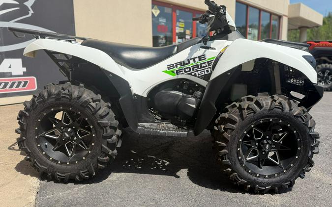 2019 Kawasaki Brute Force 750 4x4i EPS