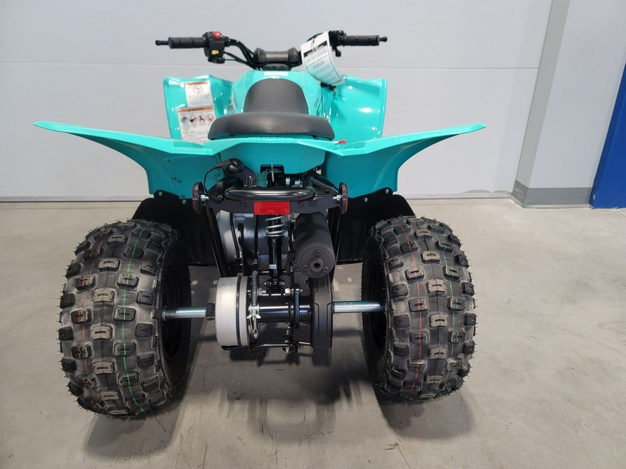2025 Yamaha Motor Corp., USA YFZ50