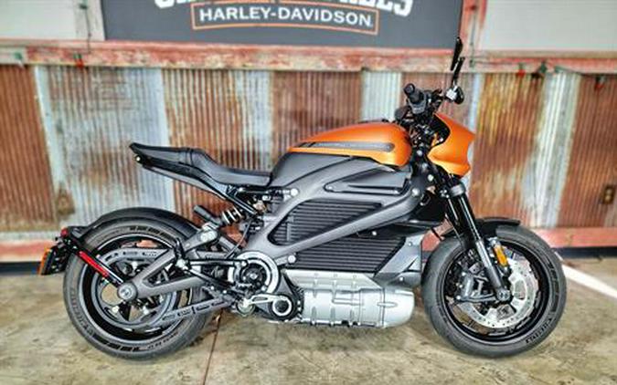 2020 Harley-Davidson LiveWire First Ride