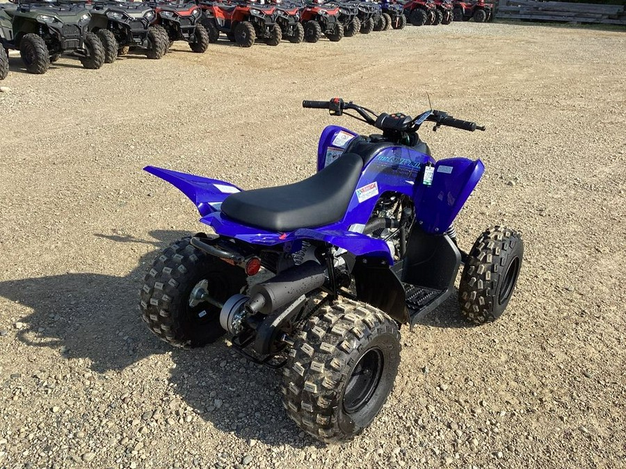 2024 Yamaha Raptor 110