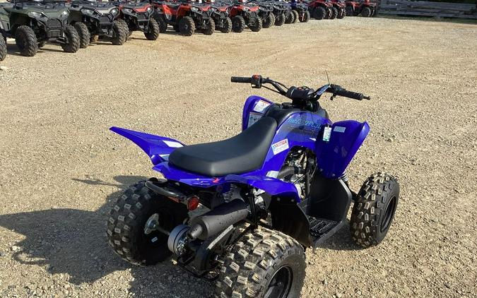 2024 Yamaha Raptor 110