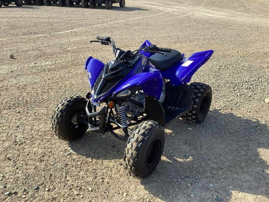 2024 Yamaha Raptor 110