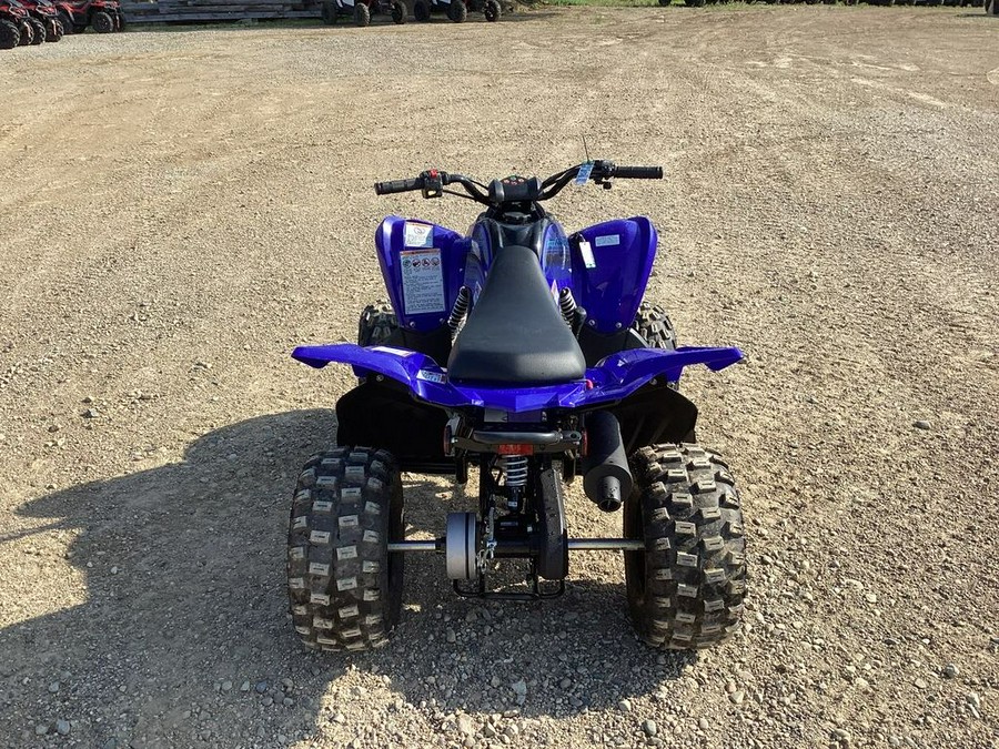 2024 Yamaha Raptor 110