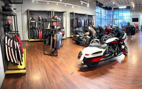 2025 Indian Motorcycle® Springfield ® Dark Horse® Moss Green Smoke