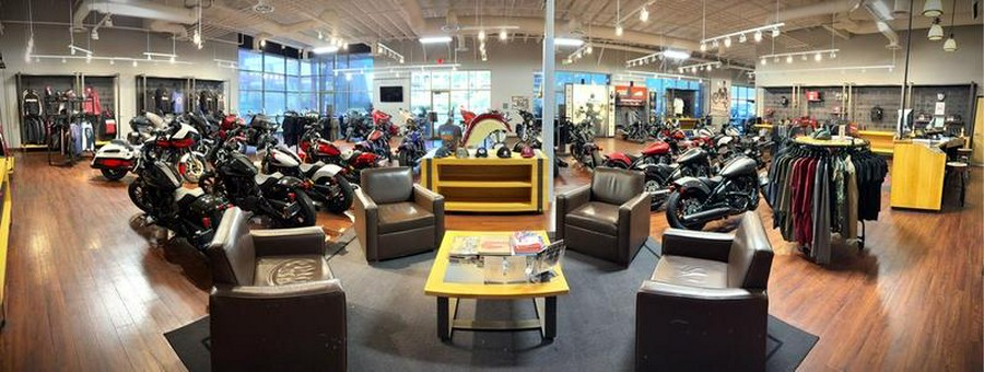 2025 Indian Motorcycle® Springfield ® Dark Horse® Moss Green Smoke