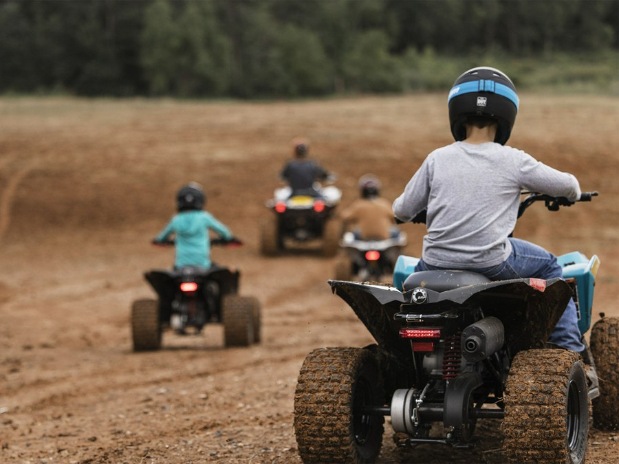 2026 Can-Am Renegade X mr 650