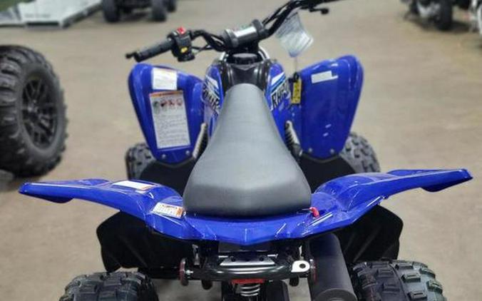 2023 Yamaha Raptor 90