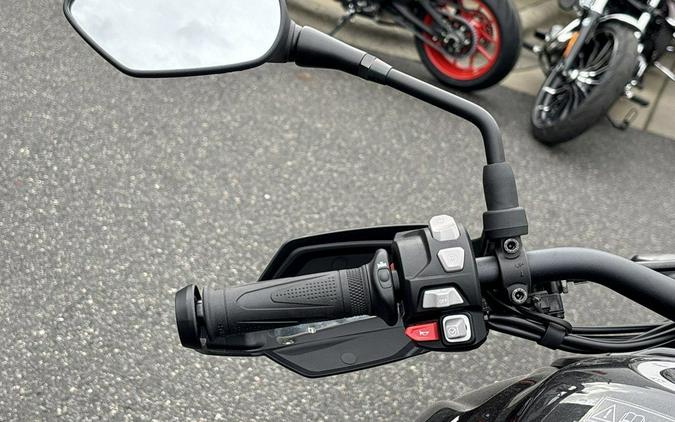 2025 Triumph Tiger 900 Rally Pro Carbon Black / Sapphire Black