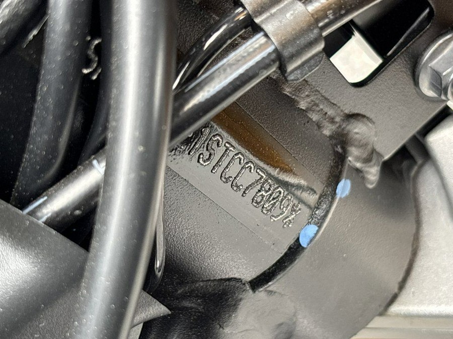 2025 Triumph Tiger 900 Rally Pro Carbon Black / Sapphire Black