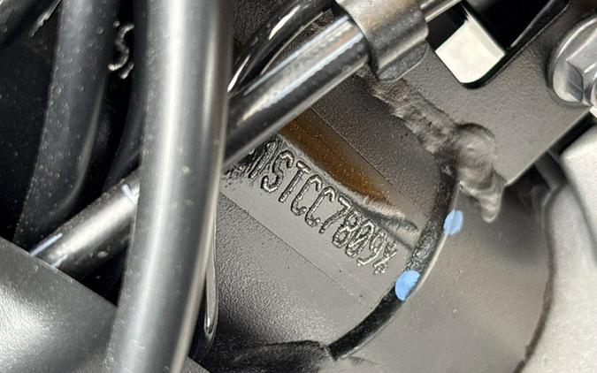 2025 Triumph Tiger 900 Rally Pro Carbon Black / Sapphire Black