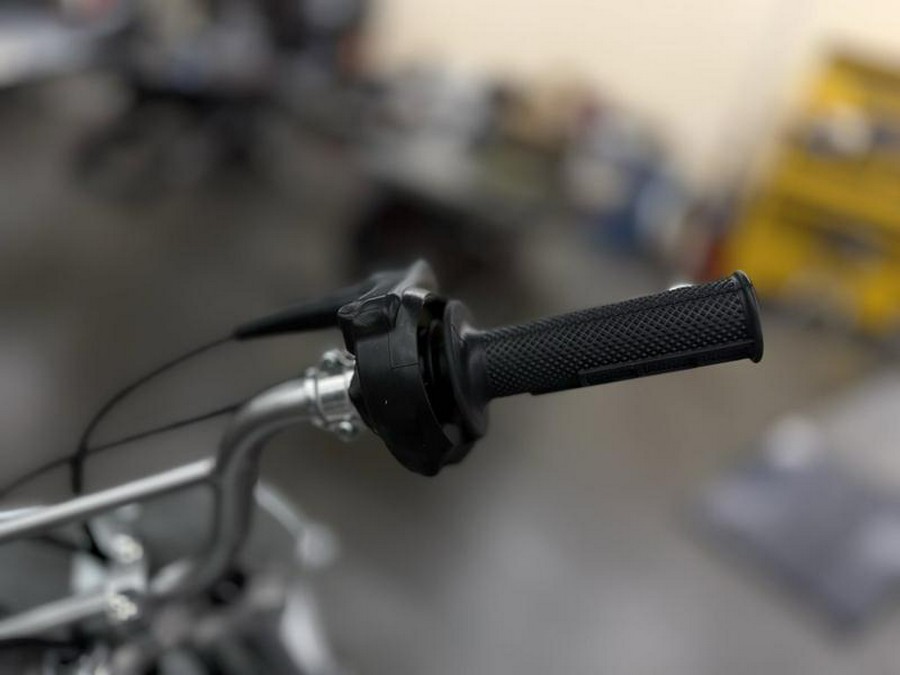 2026 Kawasaki KLX®110R L