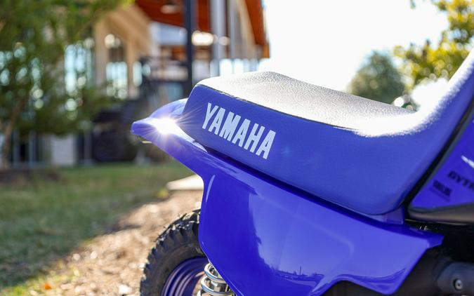 2026 YAMAHA PW50