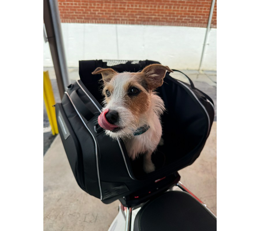 2025 Vespa GTS 310 SuperTech