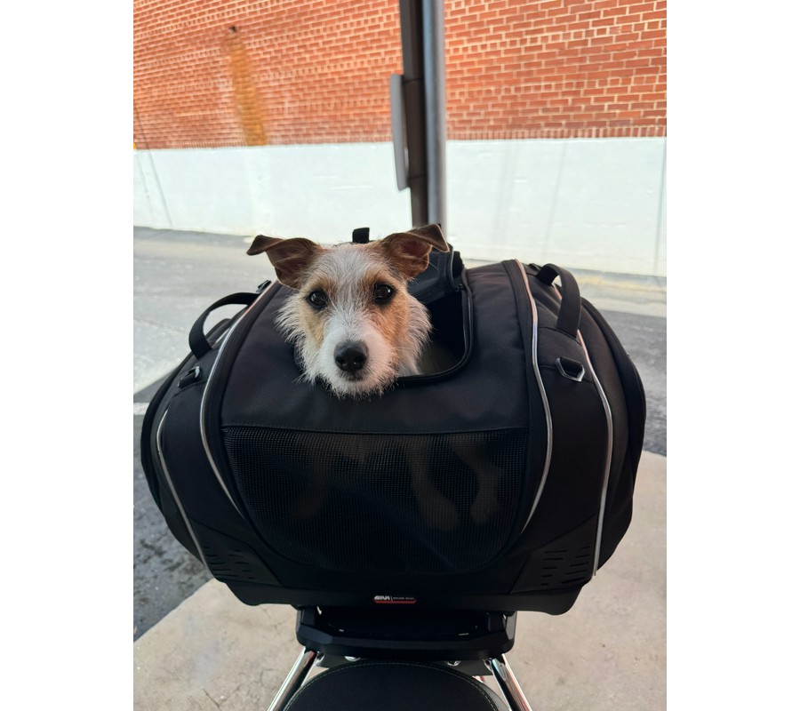 2025 Vespa GTS 310 SuperTech