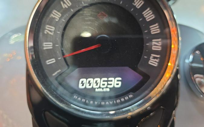 Harley-Davidson® Heritage Classic 2024