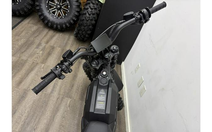 2026 PRO SR - E Ride Pro