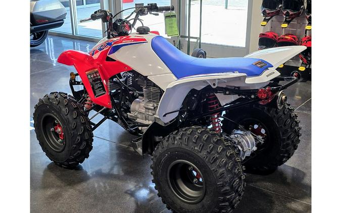 2026 Honda TRX250X