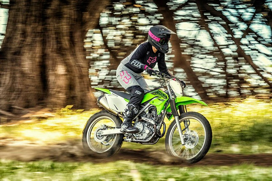 2021 Kawasaki KLX 230R