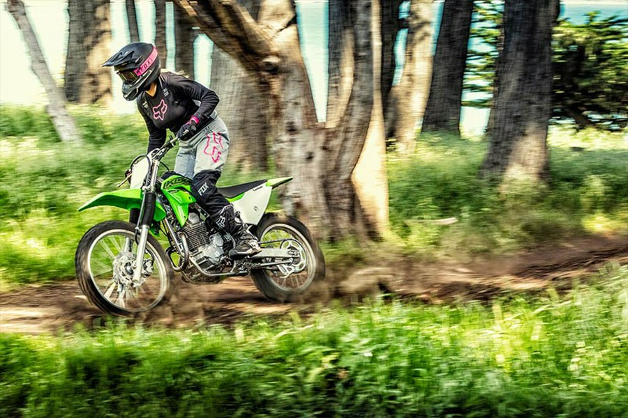 2021 Kawasaki KLX 230R