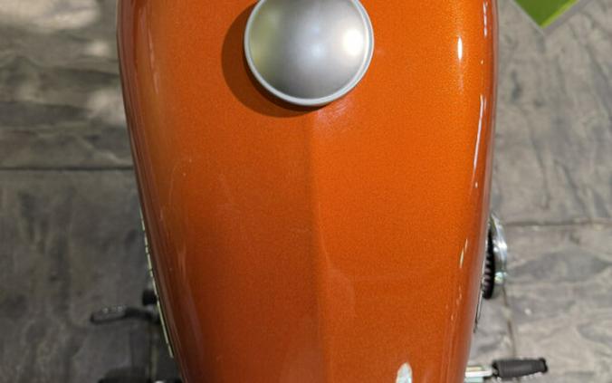 2020 Harley-Davidson Iron 883