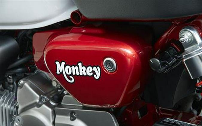 2019 Honda Monkey