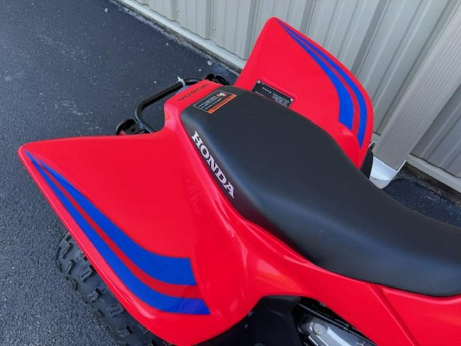 2024 Honda® TRX90X