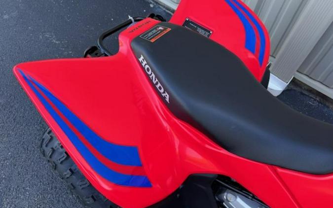 2024 Honda® TRX90X