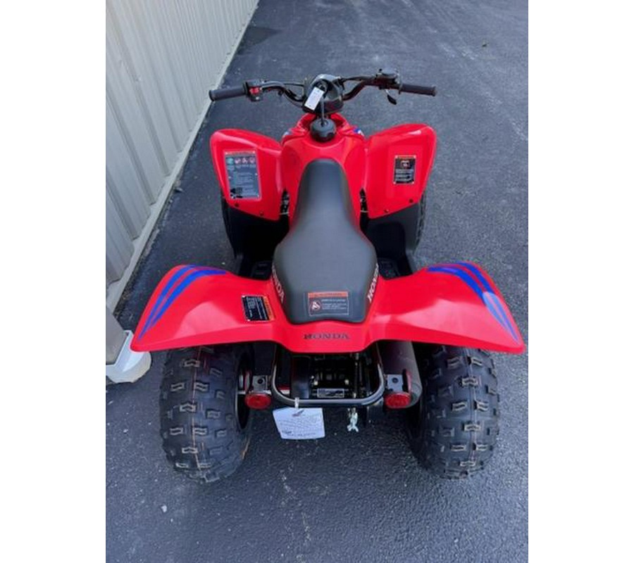 2024 Honda® TRX90X