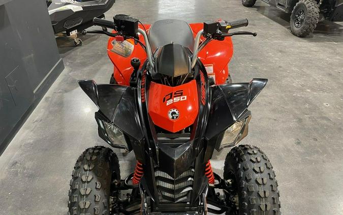 2024 Can-Am® DS 250