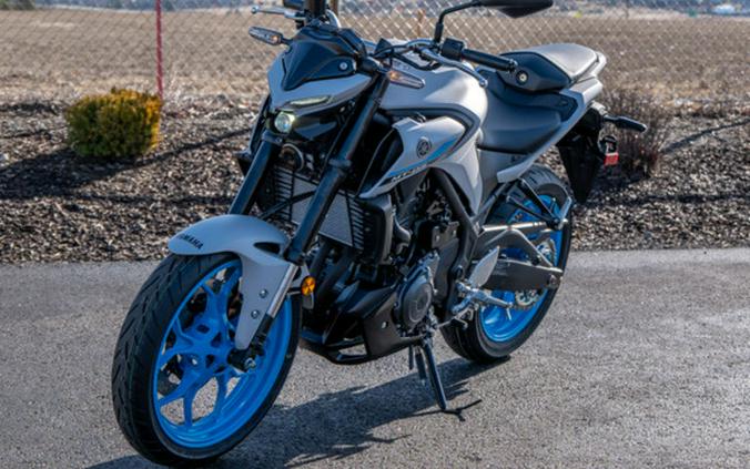 2025 Yamaha MT 03