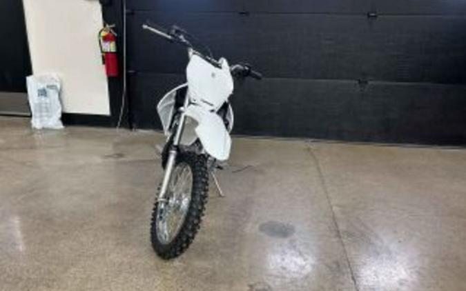 2026 Kawasaki KLX® 110R