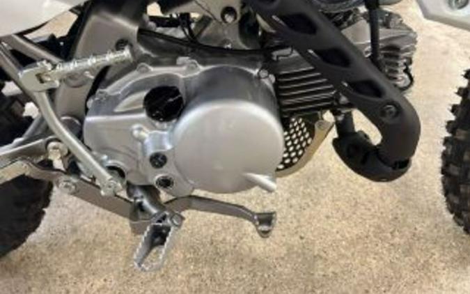 2026 Kawasaki KLX® 110R
