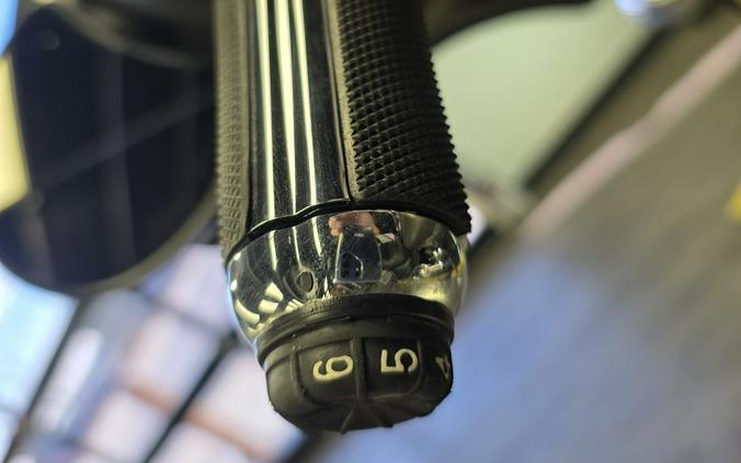 2018 Harley-Davidson Street Glide®