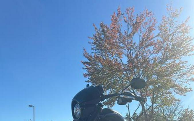 2025 Harley-Davidson Low Rider® S