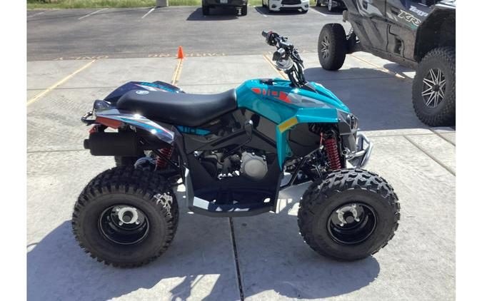 2026 Renegade 110 EFI - Can-Am