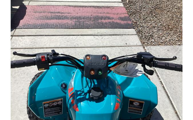 2026 Renegade 110 EFI - Can-Am