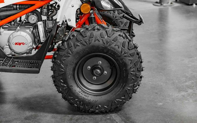 2026 Kayo Predator 110