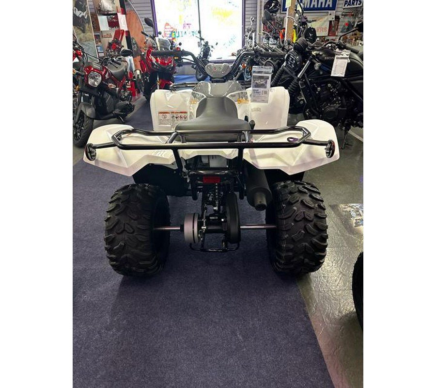 2024 Yamaha Grizzly 90