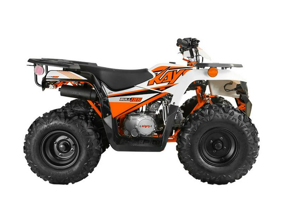 2024 Kayo Bull 125