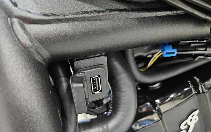 2025 Indian 101 Scout Ghost White Metallic With Graphics