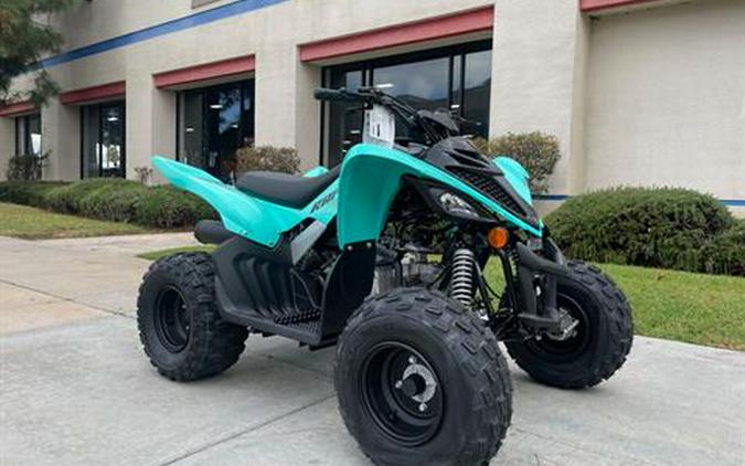 2024 Yamaha Raptor 110