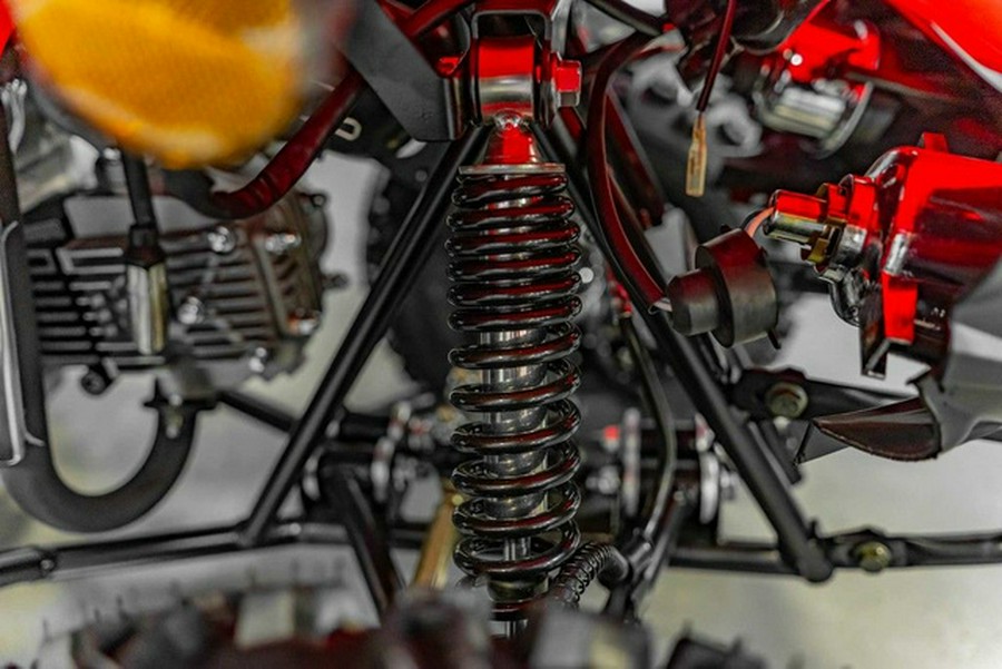 2026 Kayo Fox / Storm 70